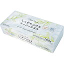 225円/個 25個一括/送料無料|しっかりふけるペーパータオル(100枚)|LD−924 販売促進商品 販促 景品 イベント用品 法人ギフト 賞品...