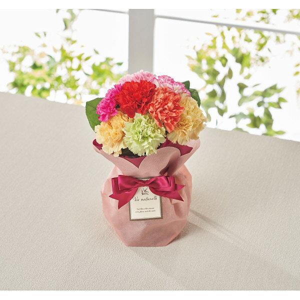 Tulip - 遅れてごめんね【母の日専用/送料無料/直送】|そのまま飾れるブーケ 7色ミックスカーネーション|母の日 プレゼント/母の日 母の日プレゼント Mother's Day 2026 母の日 プレゼント お母さんありがとう