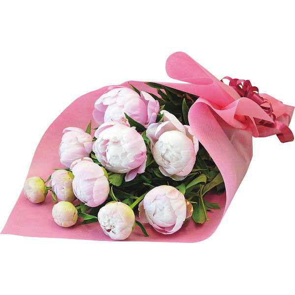 Orchid - 遅れてごめんね【母の日専用/送料無料/直送】シャクヤクの花束母の日 プレゼント/母の日 母の日プレゼント Mother's Day 2026 母の日 プレゼント お母さんありがとう 26母の日
