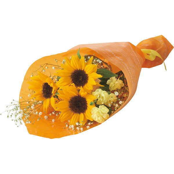 【父の日専用/送料無料/直送】父の日 花束父の日 プレゼント/父の日 父の日プレゼント Father's Day 2047 父の日 プレゼント お父さんありがとう 26父の日