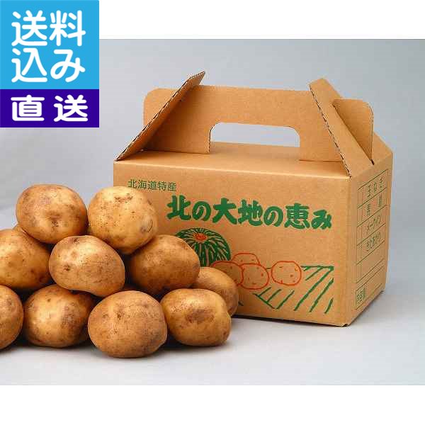 【送料無料/直送】北海道産　新じゃが（男爵いも）Mサイズ（2．5kg）【10月上旬～11月下旬】＜0000－034064＞