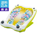 【送料無料/直送】|シェイプストレッチャー|HH−825 プレゼント お祝い 誕生日祝い 敬老の日 母の日 父の日 自家消費にも