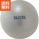 【送料無料】タニタ　ジムボール ＜TS－962＞