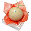 【送料無料/直送】静岡県産 温室マスクメロン(1玉)【受付期間:7月上旬~9月上旬】 静岡 温室マスクメロン1玉 プレゼント お祝い 誕生日祝い 敬老の日 母の日 父の日 自家消費にも 直送品