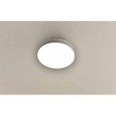 【送料無料】ヤマゼン LEDミニシーリングライト(昼白色) 昼白色<MLC‐070N 53842> LEDミニシーリングライト(昼 プレゼント お祝い 誕生日祝...