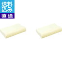 【送料無料/直送】低反発プロファイル加工枕2個セット <PFPN−2> プロファイル枕2個PFPN2 プレゼント お祝い 誕生日祝い 敬老の日 母の...