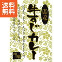 【送料無料】国産牛すじカレー(20食) <KGS−100> 国産牛すじカレーKGS−100 プレゼント お祝い 誕生日祝い 敬老の日 母...