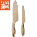 【送料無料】バイアキッチン オールミラー包丁2本セット <A−150A> オールミラー包丁2本セット プレゼント お祝い 誕生日祝い 敬老の日 母の...