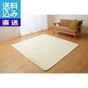 【送料無料/直送】|フィラメントラグ|フィリップIV250 プレゼント お祝い 誕生日祝い 敬老の日 母の日 父の日 自家消費にも