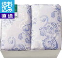 【送料無料/直送】モンブラン 羽毛合掛けふとん 2枚セット <4425101> モンブラン 羽毛合掛けふとん プレゼント お祝い 誕生日祝い 敬老の日 母の日 ...