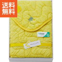 【送料無料】ミアミモザ もこふあニット敷パット クリーム MM40800ニット敷パットC プレゼント お祝い 誕生日祝い 敬老の日 母の日 父の日 自家消費にも