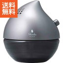 【送料無料】空気洗濯機 <ACL−220GY> 空気洗濯機ACL220GY プレゼント お祝い 誕生日祝い 敬老の日 母の日 父の日 自家消費にも