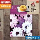 ̓ ؔ芴ӃoEN[wtJ^OMtgyS̑z/zJ^OMtg/10%off ubT BER[X/ ̓ |J^OMtg| (bo)