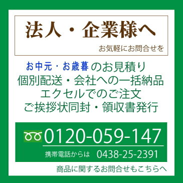 お中元 【送料無料/直送】鎌倉ハム富岡商会ローストビーフ お中元 /夏ギフト/サマーギフト 鎌倉ハム富岡商会ローストビーフ(ao)