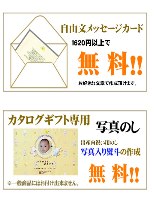 カタログギフト グルメ 【安心の宅配便/送料無料】ダンチュウ CC カタログギフト グルメ 内祝い 結婚祝い 出産祝い お祝い ギフトセット 粗品 結婚 出産 グルメ |カタログギフト| (ao) お歳暮 内祝い ランキング