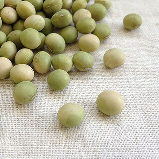 平成30年 新潟県産 吉川在来(青大豆・ひたし豆)【500g】のサムネイル