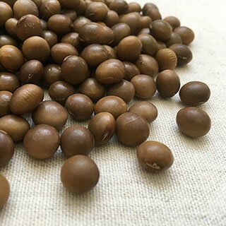 2019年 山形県産 茶豆【500g】