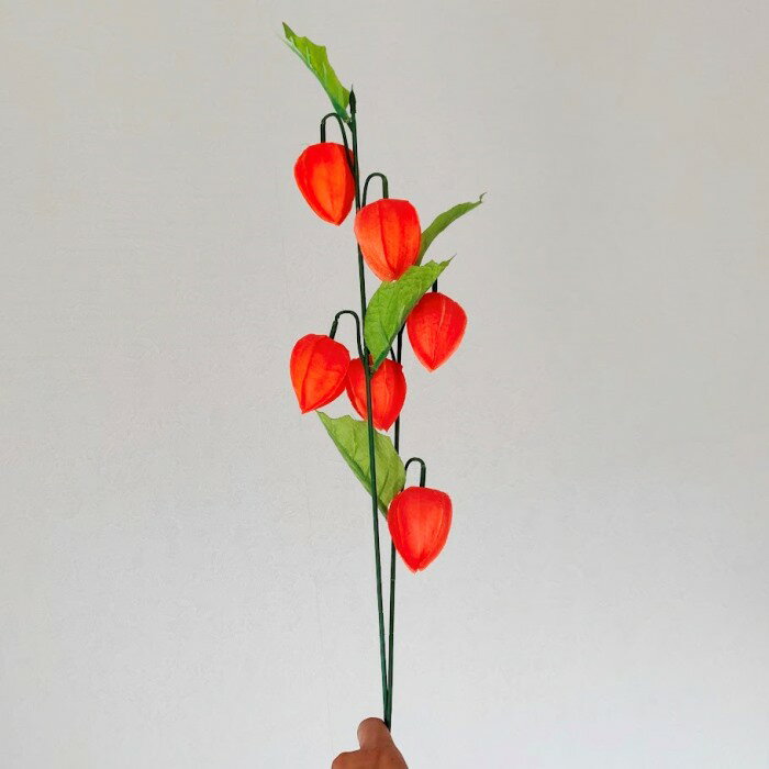 造花■鬼灯(ほおずき):1束(2本)■初盆/お供え/お盆飾り/ほうずき/ほおづき/ホオズキ/ホウズキ/鬼灯/アレンジメント/インテリア/ディスプレイ/オブジェ/ハロウィン/季節の花/おしゃれ/飾り/お盆用品/アートフラワー/シルクフラワー/触媒/フェイクグリーン/フェイクフラワーのサムネイル