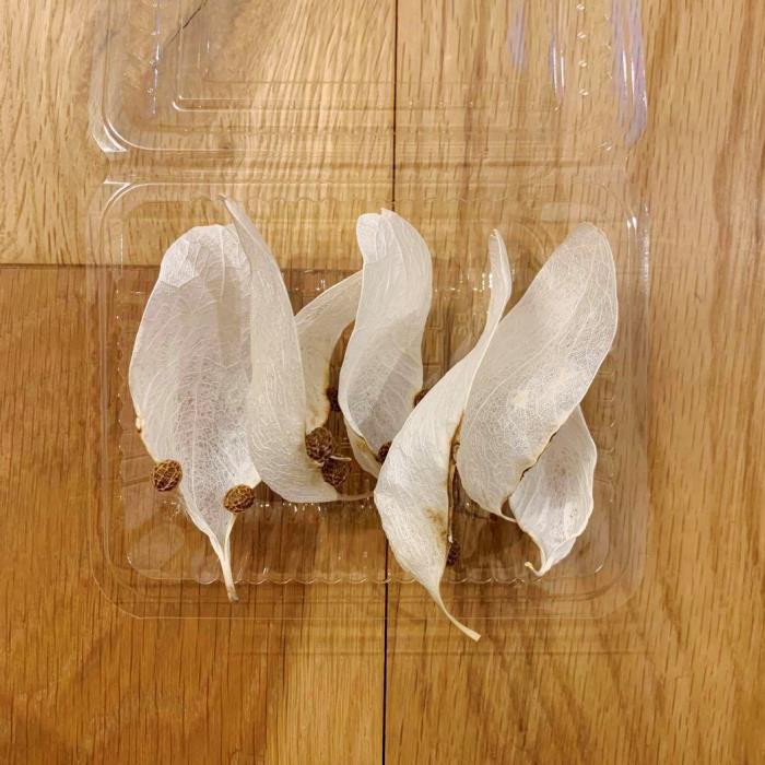 ������/��������������(�Ķ�)�����/���Ȥ�/���դ���/�ɥ饤�ե� /�ֺࡡ�ۥ磻��/ �����/�ɥ饤�꡼��/��/����/��/��/����/����/����/�޹�/����/����ƥꥢ/DIY/�ΰ�/����/���٥��/����ե�/�����/����/������/�ոϤ餷����/�դ��餷����/ŷ������/����/����/�쥢