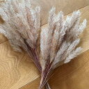 春 収穫■チガヤ ~30cm:2束■チバナ/ツバナ/草/工作/図工/用品/自然/飾り/野草/木の実/自然素材/クリスマスリース/材料/パーツ/天然/クリスマス/木の実/手作り/秋の工作/秋の製作/児童/秋を楽しもう/秋みつけ/たのしい秋いっぱい/秋みつけ/ドライフラワー/千萱/季節の花