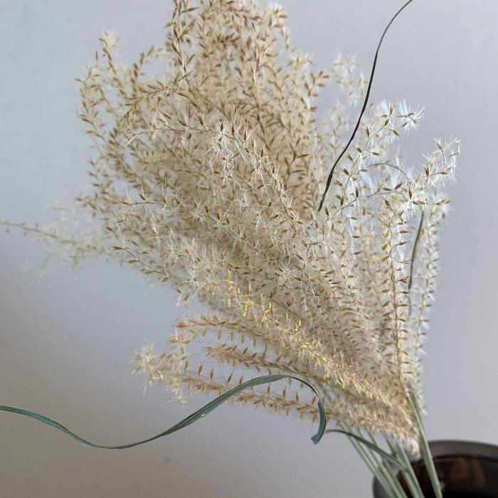 ����ƥꥢ/���ߢ��ɥ饤�ե� ������ ��60cm:1«����«/�ɥ饤�ե�/�֡���/����󥸥���/�֡����ԡ���/�ѥ�ѥ����饹/��/����ƥꥢ �ǥ����ץ쥤/���֥���/�쥤������/����ƥꥢ/����/�ǥ����ץ쥤/����/�޹�/�������/����/����/��/����å�/��/�ϥ�������