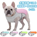 ペット クールベスト 犬用 熱中症対策 ひんやりベスト クールベスト 冷感犬服 小型犬 中型犬 ひんやり 接触冷感 ペット服 冷感 冷却ベスト ペット用夏服 冷...