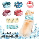 【2点セット】クールネック 犬 夏 暑さ対策 ひんやり リード穴付き 保冷剤スヌード 熱中症対策 暑さ対策 涼しい 涼感 ネッククーラー 首ひんやり 裏生地防水...