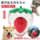 音が出る 犬 おもちゃ イチゴ 音が出るおもちゃ 嚙むおもちゃ 安全無毒 頑丈 小型〜大型犬まで 嚙んでも壊れにくい 噛むおもちゃ ...