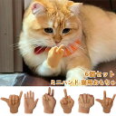 ミニハンド 猫用おもちゃ ペット用おもちゃ 6個セット ねこ ネコ ペット用品 ペットトイ ミニ手模型 猫用マッサージ ペット用 玩具 猫犬に最適 ラバートイ ...