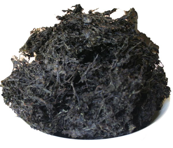黒原藻 海苔（国産）　20g入　岩海