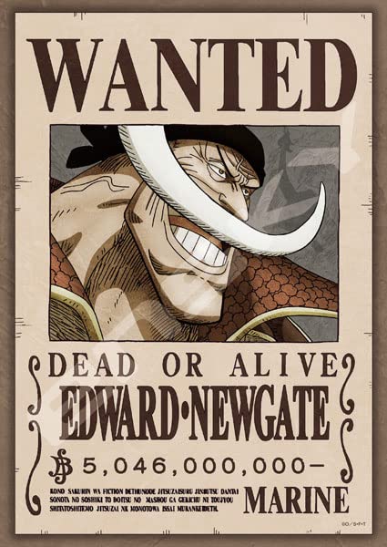 エンスカイ(ENSKY) ジグソーパズル ワンピース 懸賞金50億4600万ベリー EDWARD・NEWGATE 18.2×25.7cm 送料無料