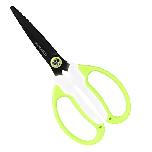 SK11(��������11) �ۡ��५�å�R ��ǽ�ϥ��� �ե��ǥ��꡼�� HCR-F175G ����̵��