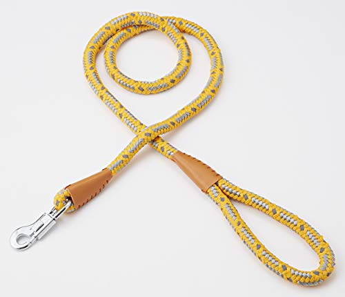 ペティオ (Petio) NEWネオンリード オレンジ 12mm 送料無料