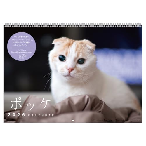 2026年カレンダー ポッケ 送料無料
