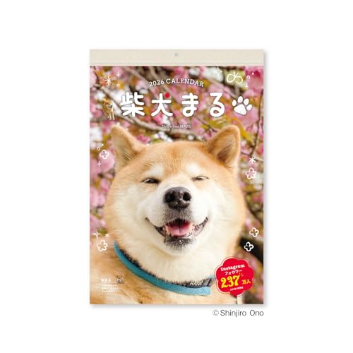 新日本カレンダー 2026年 カレンダー 壁掛け 柴犬まる 小 NK4010 送料無料