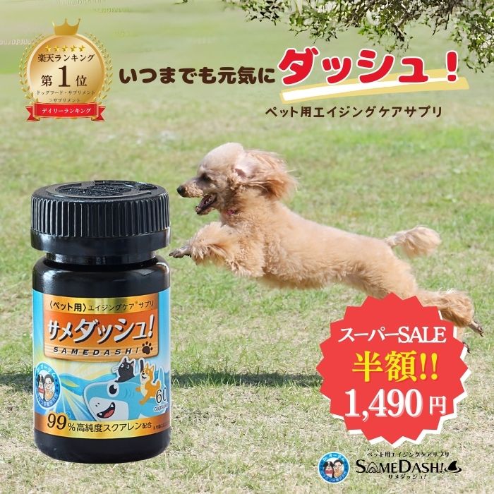 【半額 楽天スーパーSALE 】楽天ラン