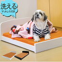 日本製 ペットベッド ペット用品 犬 猫 ペット ベッド 木製 夏用 すのこ構造 ブラック ホワイト ペット用木製パネルベッド 洗える マットレス付き