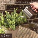 DULTON ステンレス ピッチャー 水差し じょうろ ガーデン 庭 園芸 観葉植物 手のひらサイズ ブラック ゴールド おしゃれ コンパクト