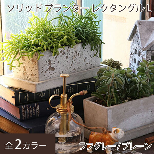 DULTON プランター 長方形 植木鉢 おしゃれ 小型 コンパクト かわいい 室内 屋内 部屋 屋外 穴あり コンクリート 野菜 園芸 ガーデニング 鉢植え インテリア おすすめ 売れ筋 受け皿付き ダルトン ソリッドプランター レクタングル L