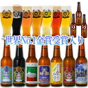世界一 金賞受賞 クラフトビール ビール 飲み比べ 福袋 パーティーセット 10本 限定ビール入り B-IPA 詰め合わせ 【冬】 楽天ランキング1位 人気 クラフトビール飲み比べ ご当地ビール ビールセット 地ビール おしゃれ 誕生日 本州 送料無料 最強翌日配送