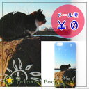 パルナートポック PalnartPoc 東京湾ネコ スマホケース(6/6S専用) スマートフォン アイフォン iphone カバー iPhone Molly Tippet モリーティペット ねこ cat