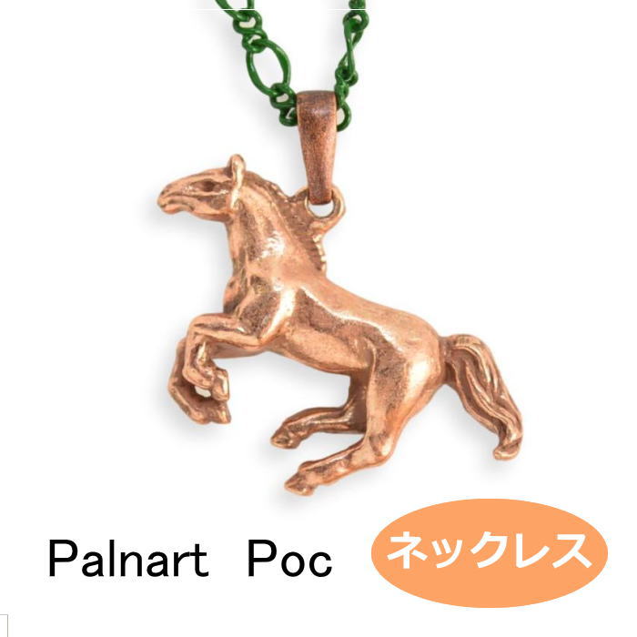 パルナートポック ネックレス ピルグリム PalnartPoc Brough Superior ブラフシューペリア 2204