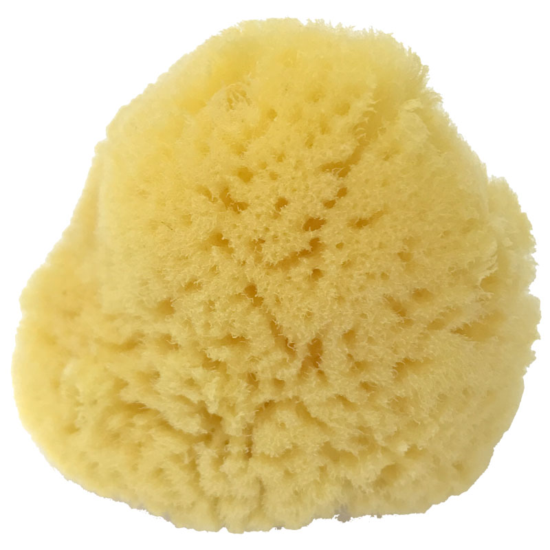 (bd1036) 海綿(小) スポンジ 細目 トールペインティング 画材 トールペイント 工作 水彩 油彩 クラフト DIY 修正 ぼかし ツール 塗装 マーブ...