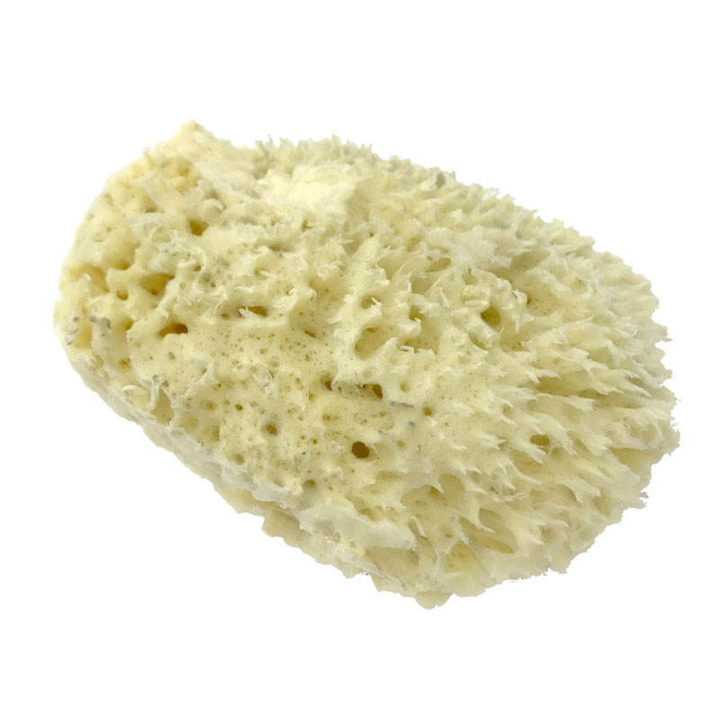 (bd1037) 海綿(中) スポンジ 細目 トールペインティング 画材 トールペイント 工作 水彩 油彩 クラフト DIY 修正 ぼかし ツール 塗装 マーブ...