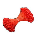 (KP080) 赤実ペップ 小 2束入 約長さ6cm 粒径2mm 赤(レッド)ペップ アートフラワー 造花用 花芯 手作り 花 おしべ めしべ つまみ細工 ディ...