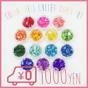 選べる福袋★対象B 【1000円★送料無料】(C64) カラーシェルカレット 14色セット レジンの封入素材 各色約3g入り
