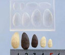 (S153)シリコンモールド アーモンド 木の実 ナッツ 4サイズ リアル ミニチュア スイーツ 食玩 レジンや樹脂粘土でのフェイクフード作りに