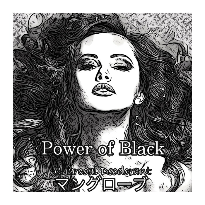 【Power of Black】★お試し1円★マングローブ 炭の力で空間を浄化♪ 炭 消臭 除湿 調湿 インテリア リビング 靴 玄関 寝室 小さめ 風水 スミ すみ