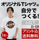  自由なデザインをフルカラーでプリントしてオリジナルのTシャツをつくりましょう