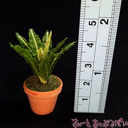 ミニチュア 観葉植物の鉢植え その2 SMPLN18 ミニチュアハウス ドールハウス 用